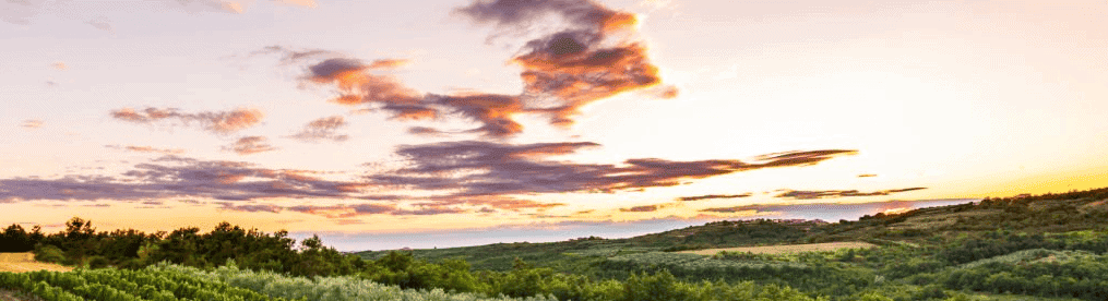 Istria property buy